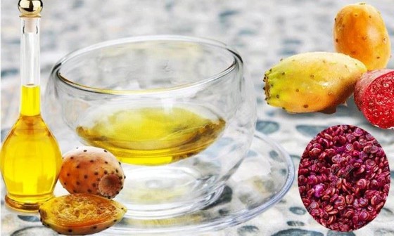 Prickly Pear Seed Oil