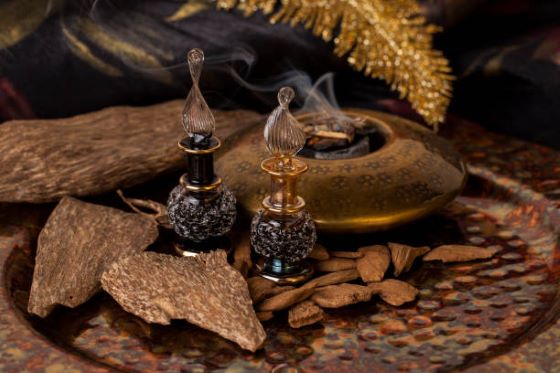 Rich Oud & Amber Perfume